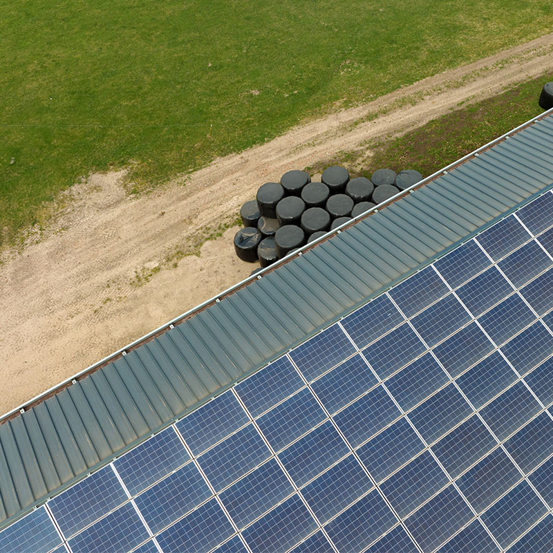 Solarmodule auf dem Stalldach beim Bauern in Brandenburg in Groß Pankow - Prignitz
